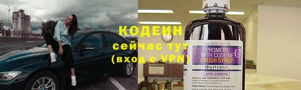 СК Осинники